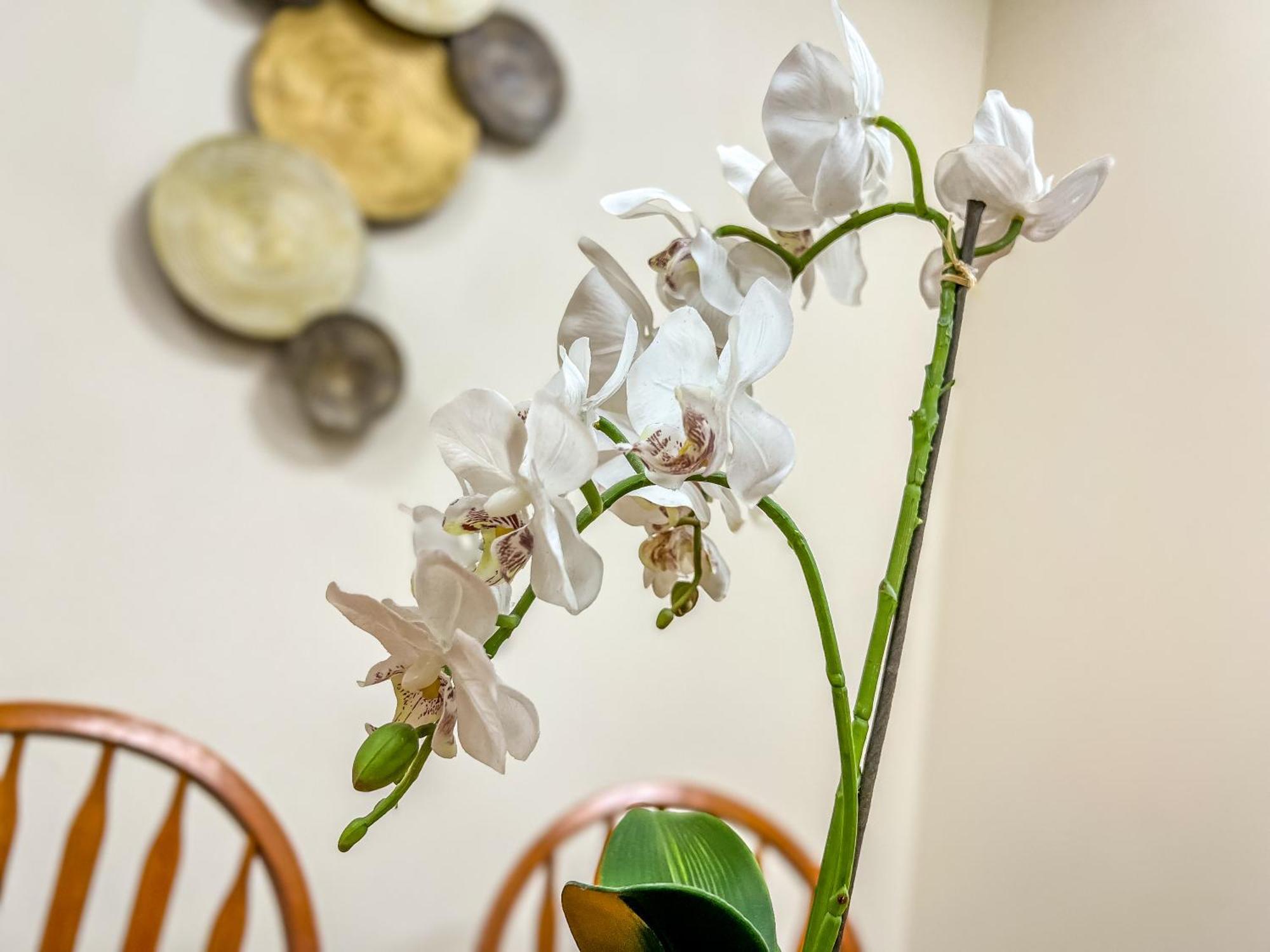 County Hall Apartment Hotel Бостон Екстер'єр фото